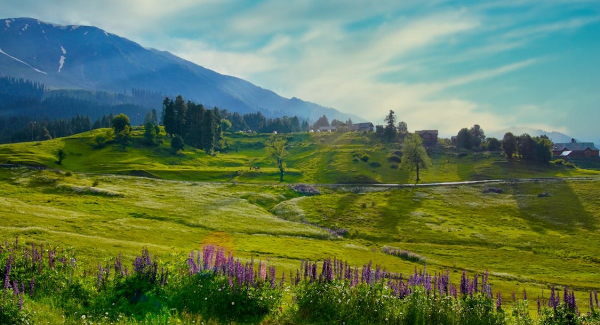 Kashmir