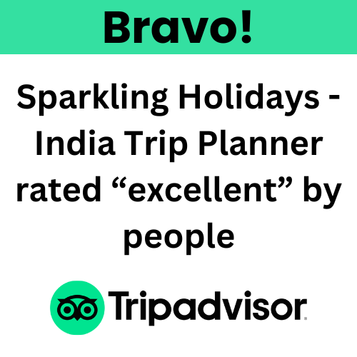 Trip Advisor