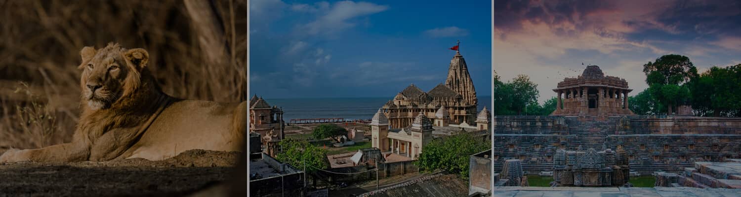 gujarat-tour