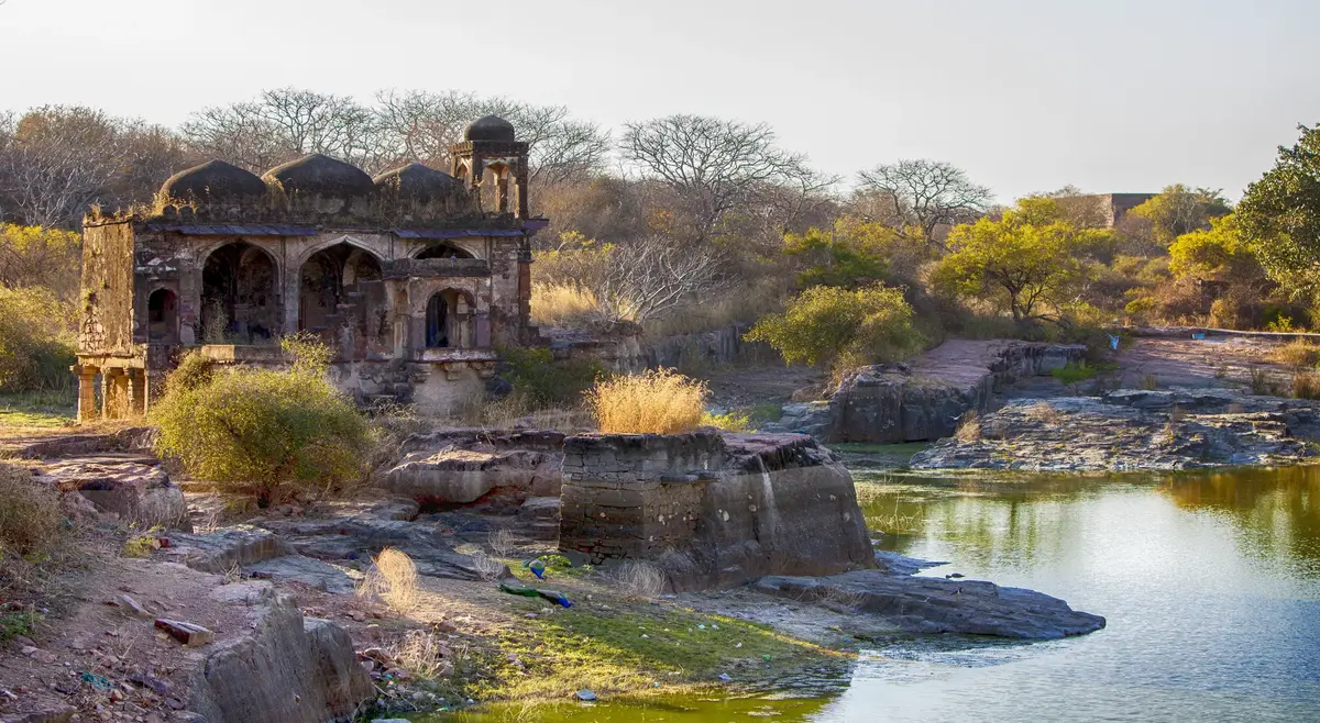 ranthambore2