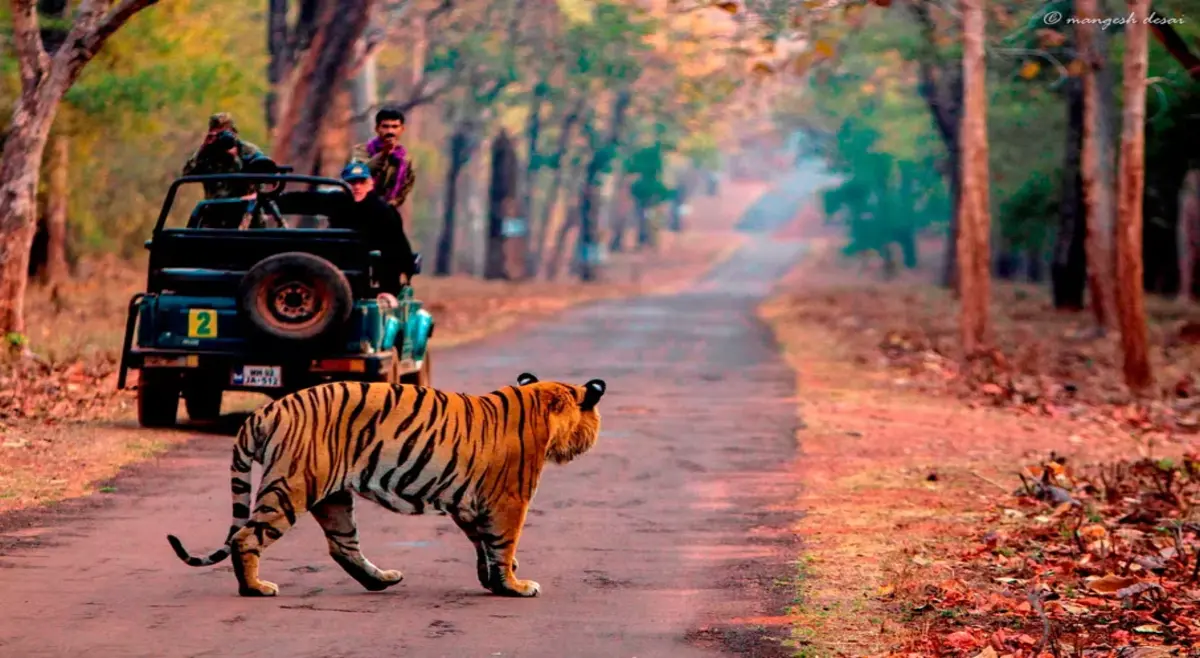 ranthambore4